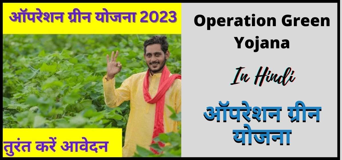ऑपरेशन ग्रीन योजना | Operation Green Yojana | OGY