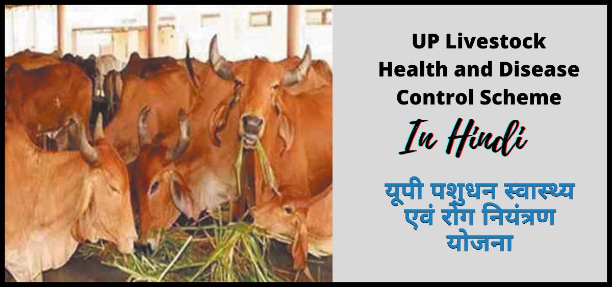 उत्तर प्रदेश पशुधन स्वास्थ्य एवं रोग नियंत्रण योजना 2024 | Uttar Pradesh Livestock Health and Disease Control Scheme | UP-LH and DC