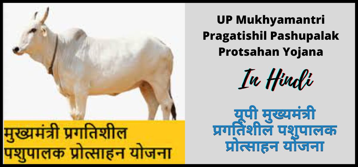 उत्तर प्रदेश मुख्यमंत्री प्रगतिशील पशुपालक प्रोत्साहन योजना 2024 | Uttar Pradesh Mukhyamantri Pragatishil Pashupalak Protsahan Yojana 2024