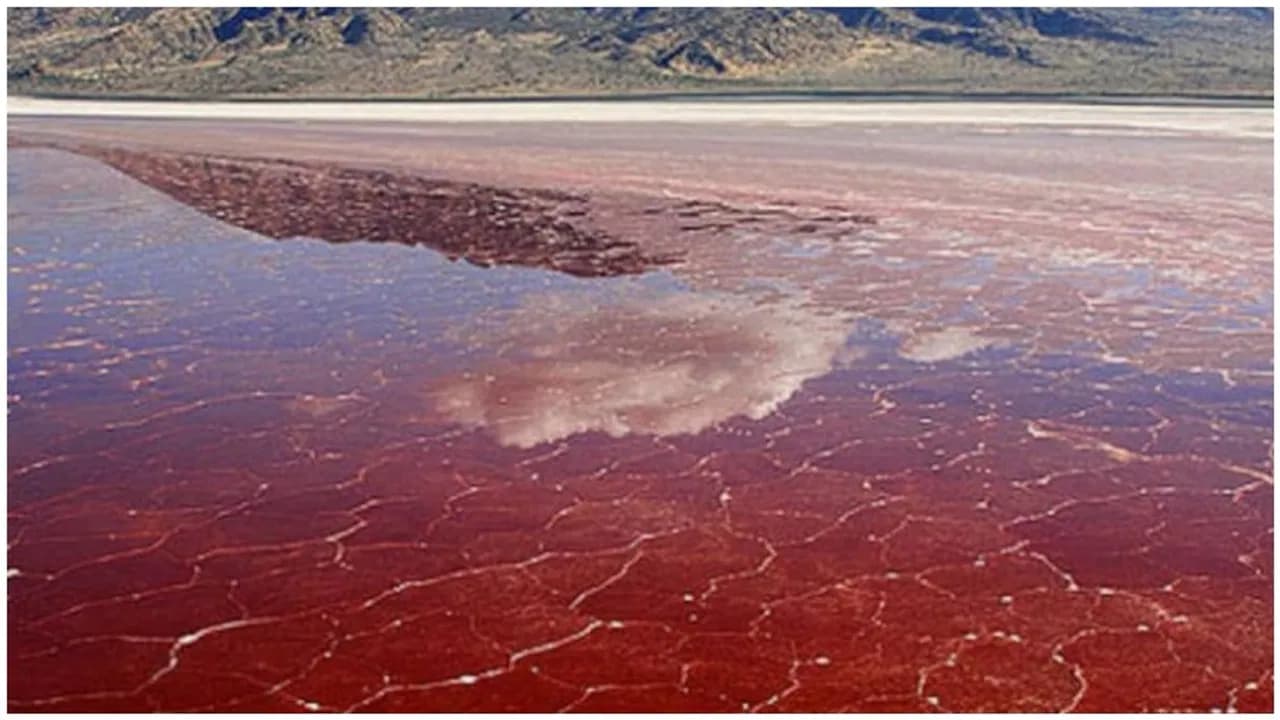 showing the image of " लेक नेट्रॉन, तंजानिया | Lake Natron, Tanzania", one of the World's 10 mysterious places