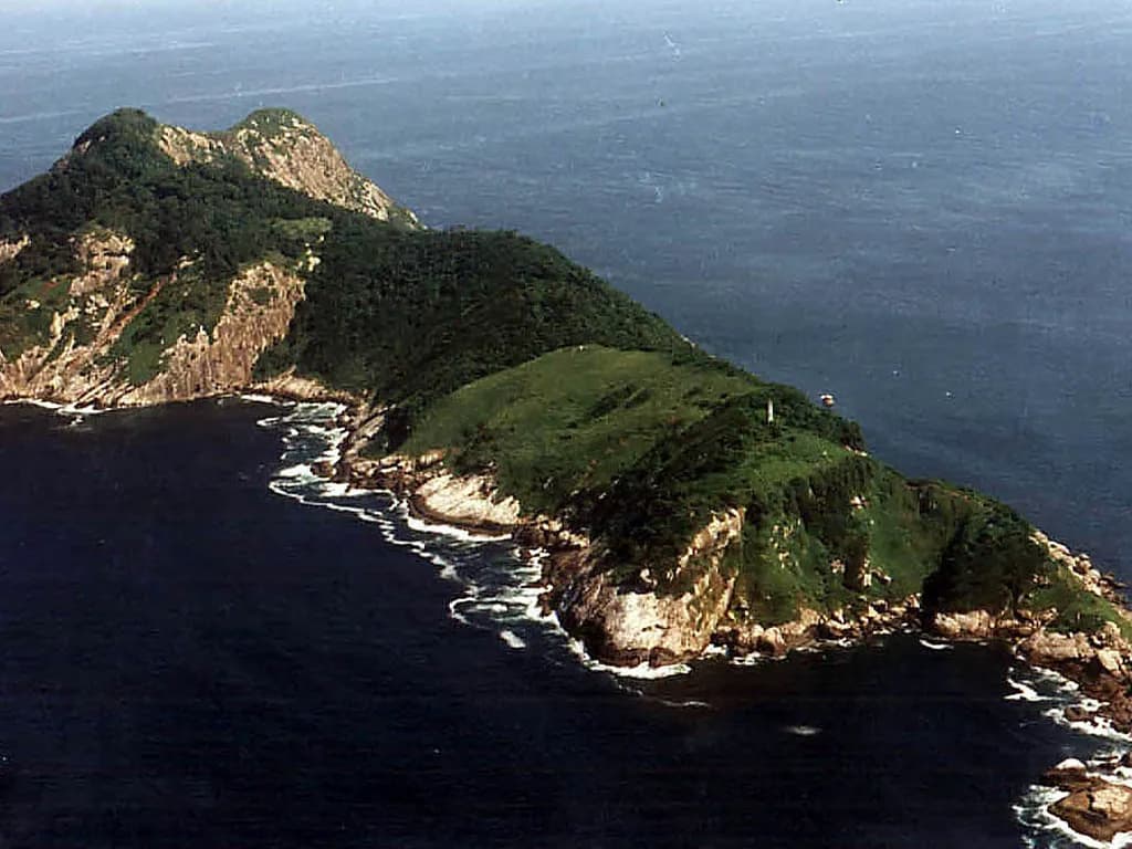 showing the image of " स्नेक आइलैंड, ब्राजील | Snake Island, Brazil", one of the World's 10 mysterious places