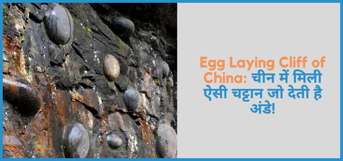 शेविंग थे इमेज ऑफ़ Egg Laying Cliff of China