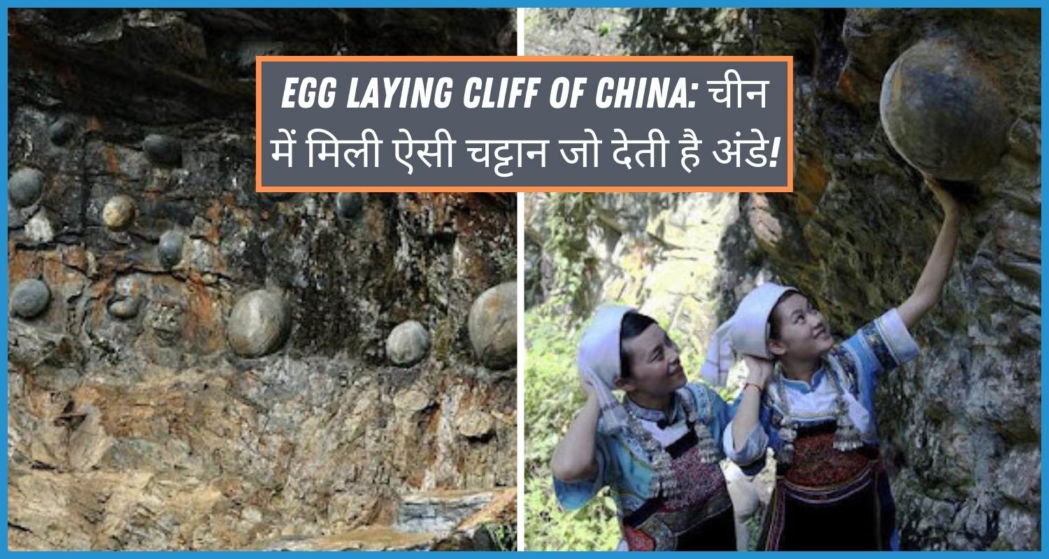 शेविंग थे इमेज ऑफ़ Egg Laying Cliff of China