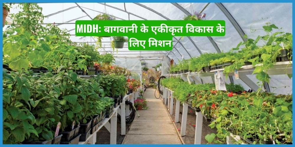 showing the image of Mission for Integrated Development of Horticulture (MIDH)