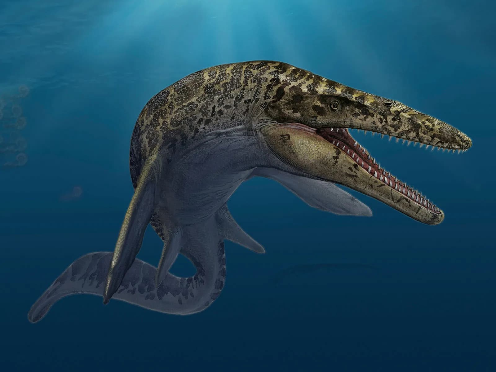 showing the image of " मोसासॉरस (Mosasaurus) ", one of the most Dangerous Extinct Animals