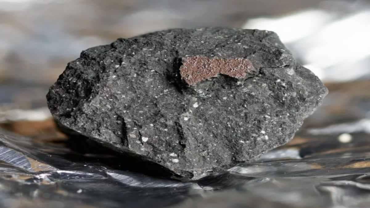 showing the image of "सूक्ष्मजीवी जीवन वाले उल्कापिंड (Meteorites Containing Microbial Life) ", one of the 10 Alien Life Evidences