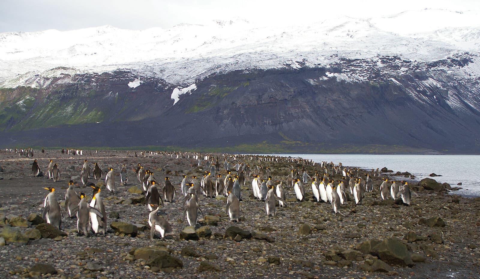 showing the image of " हर्ड आइलैंड और मैकडोनाल्ड आइलैंड्स (Heard Island and McDonald Islands)  ", one of the most World's Most Mysterious Islands.