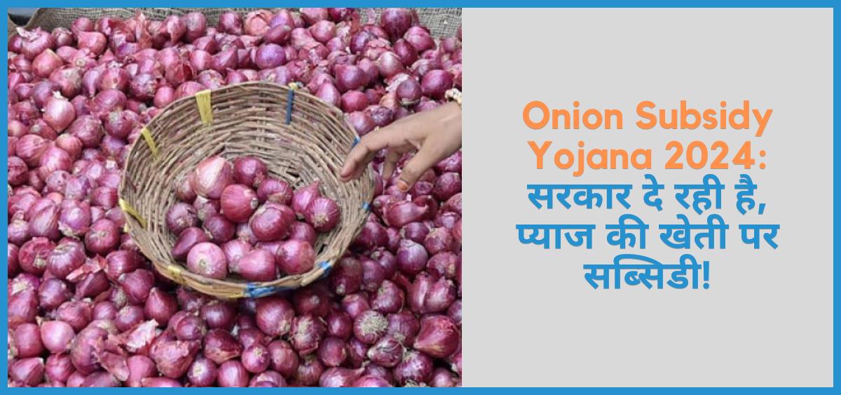 showing the image of Onion Subsidy Yojana 2024