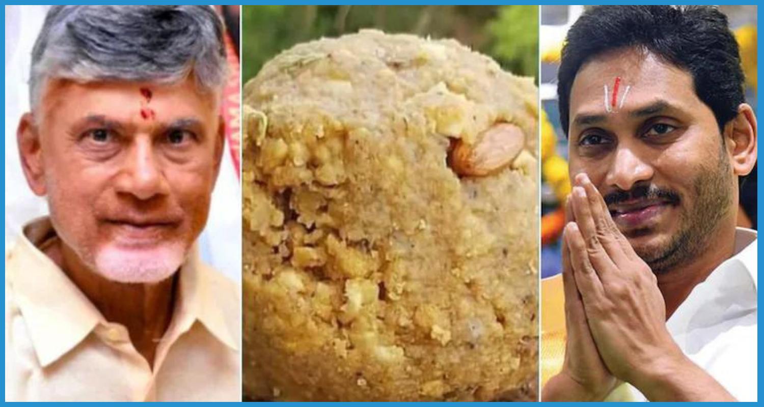 showing the image of Tirupati Laddu Controversy 2024