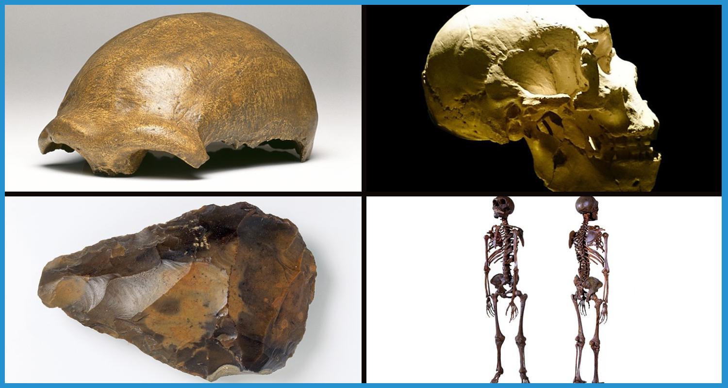 showing the image of Mystery of the Neanderthals Scientists reconstruct face of Neanderthal woman who lived 75,000 years ago