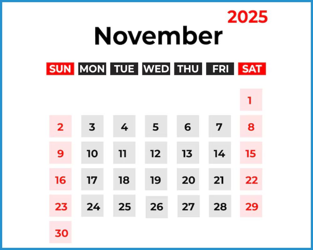 This is the image of November 2025 Calendar