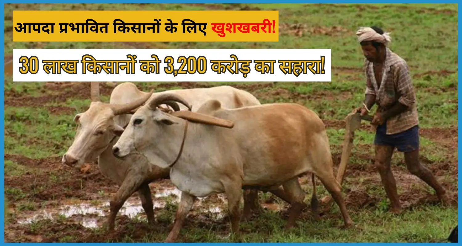 this is the image of Centre to release Rs 3,200 crore under PM Fasal Bima Yojana 2025