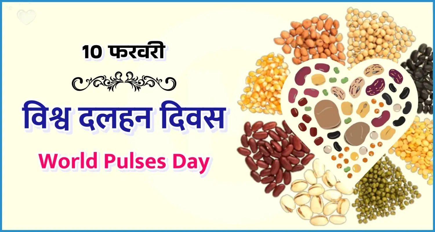 this is the image of United Nations pulses day