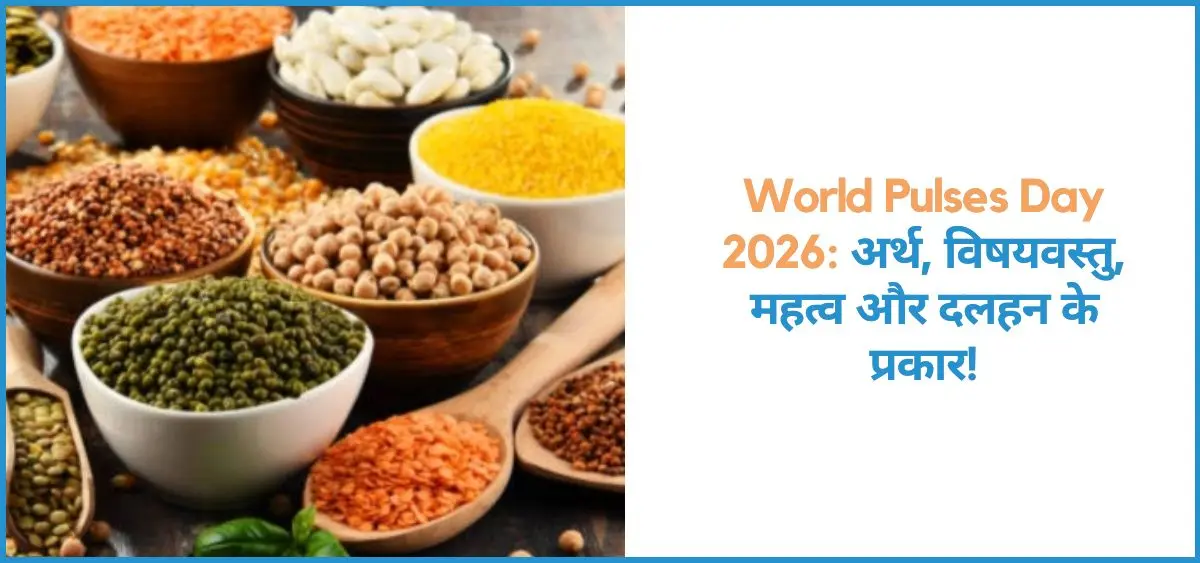 this is the image of World Pulses Day 2026