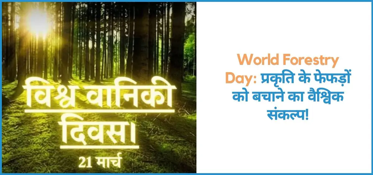 this is the image of World Forestry Day - 21 March