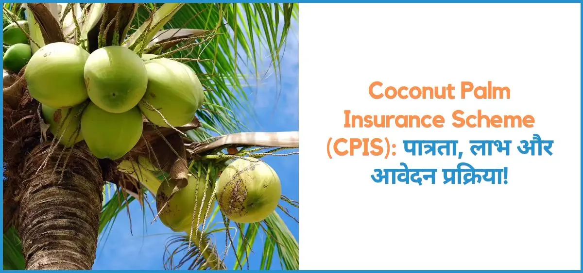 this is the image of Coconut Palm Insurance Scheme (CPIS)